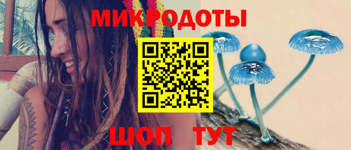 Псилоцибиновые грибы мицелий  Вход с VPN  Галлюциногенные грибы мицелий  купить наркотики сайты  Южно-Сахалинск 
